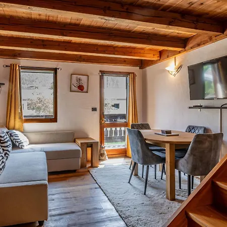 Apartment Balcon De L'arve- Charming Duplex In Centre *