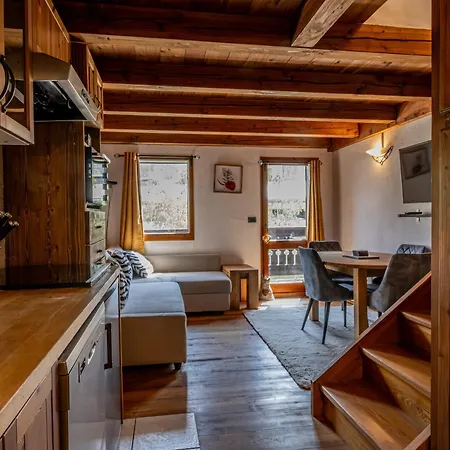 Balcon De L'arve - Charming Duplex In Centre Шамоні